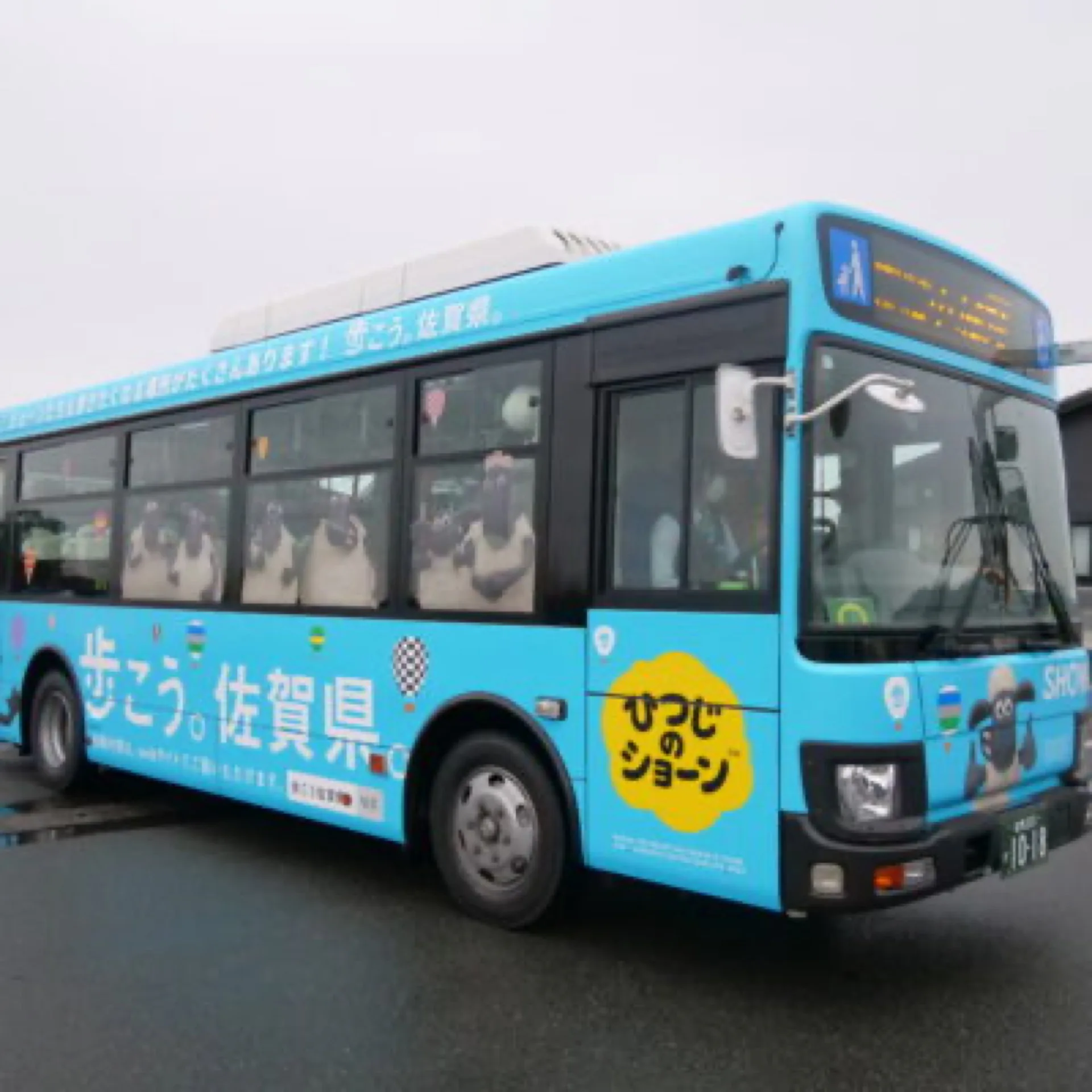 関連イメージ 2