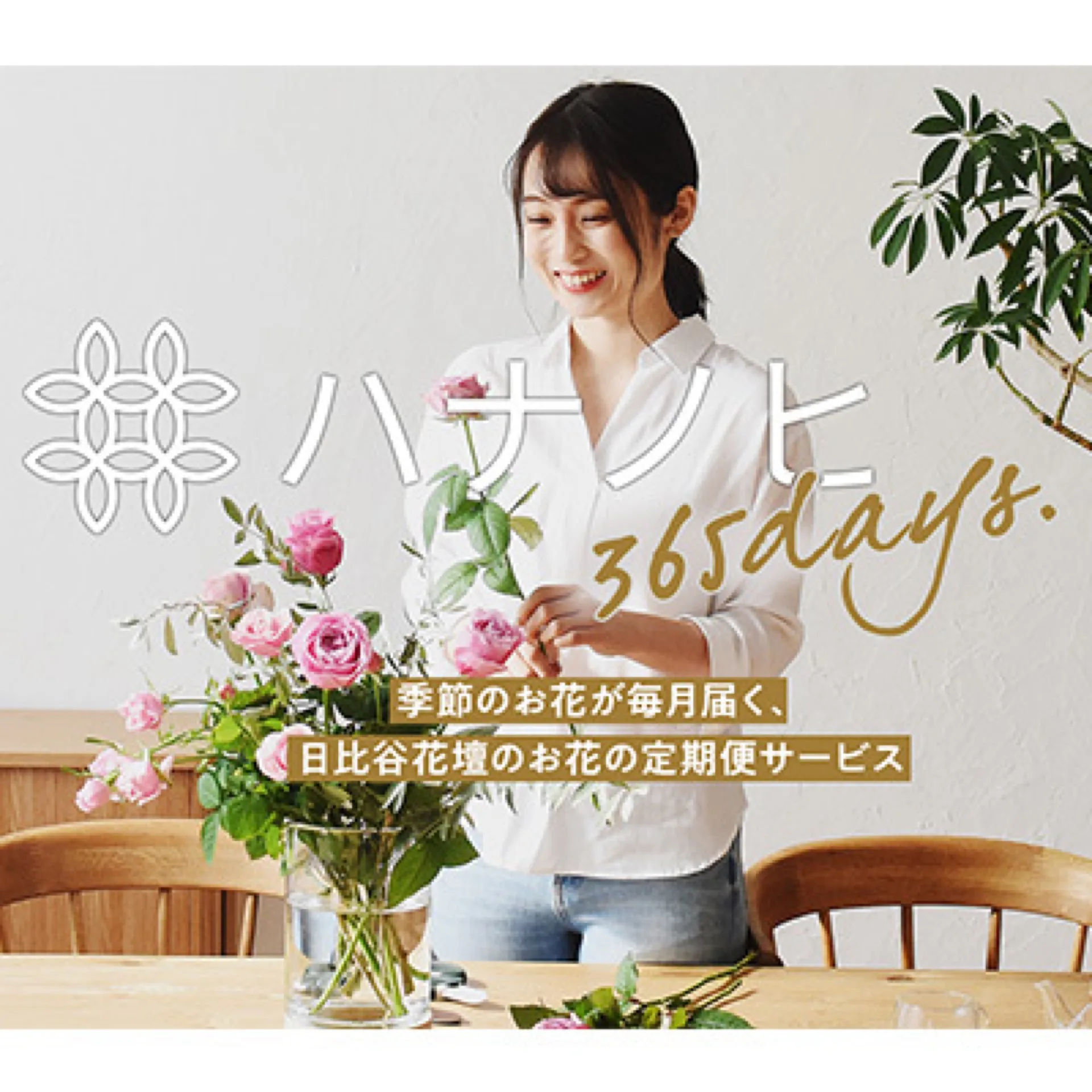 関連イメージ 3